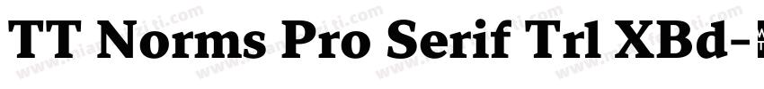 TT Norms Pro Serif Trl XBd字体转换